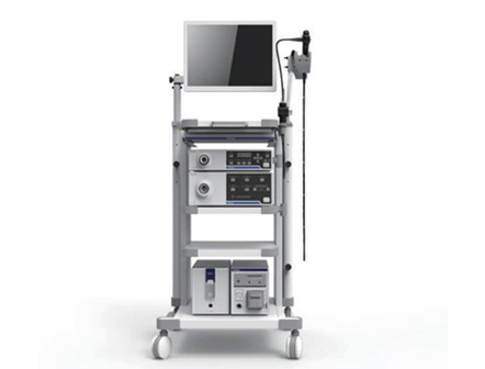 Portable Medical video endoscope