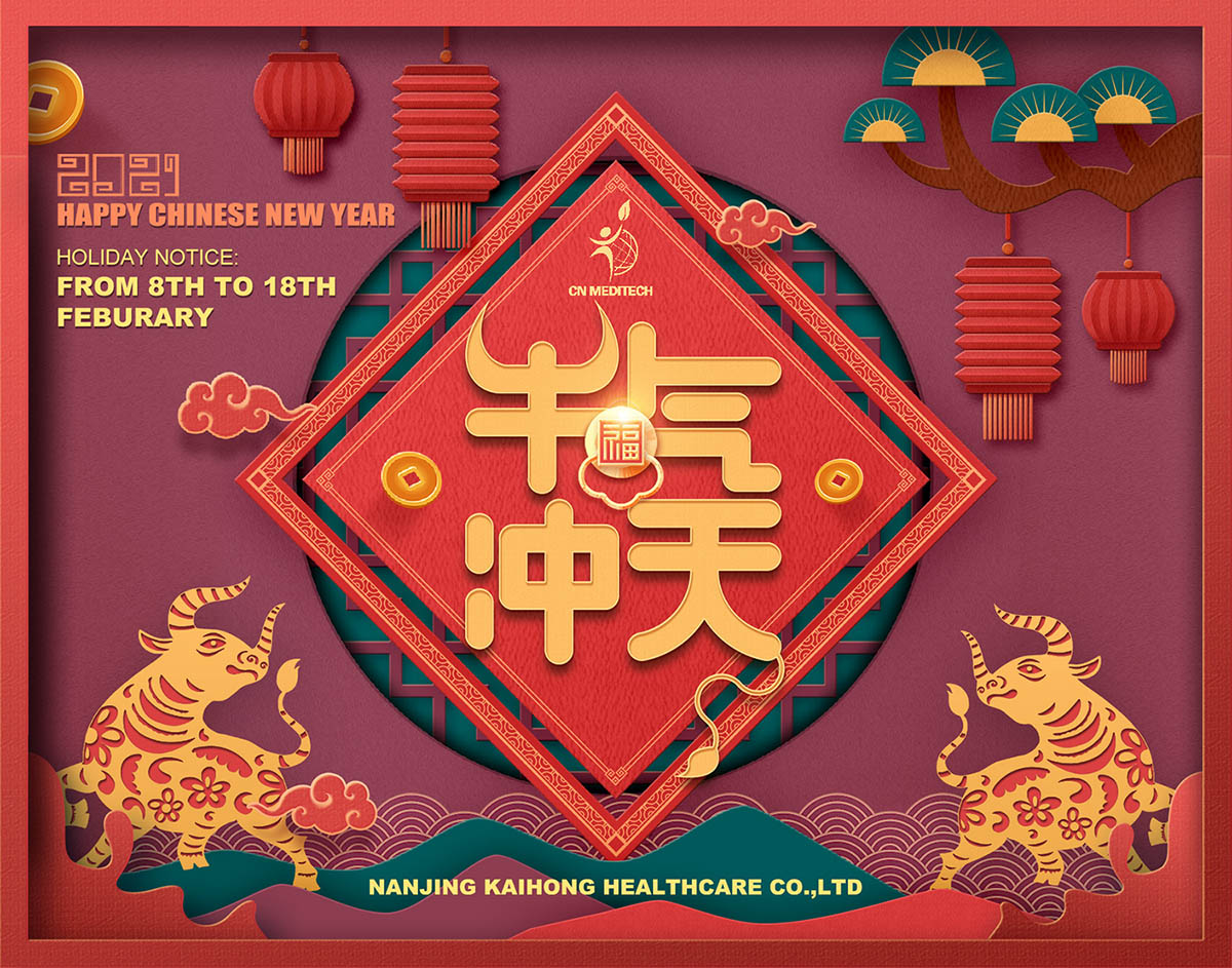 Happy Chinese new year