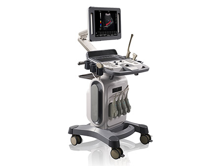 Medical Full Digital Trolley 4D Color Doppler Ultrasound Diagnostic System