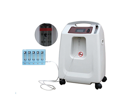 8L 4-way Splitter Home Use Physical Therapy Oxygen Concentrator machine for Sale