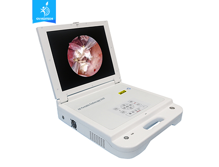 Medical 17 inch HD Portable Endoscopy HD Camera System Unit