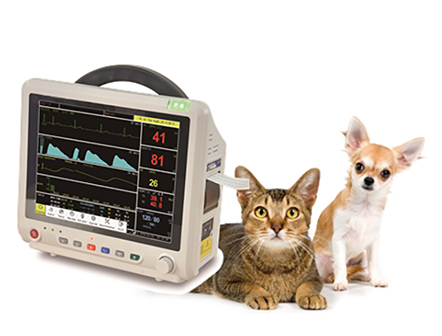 12.1 Inch Veterinary Multi-Parameter Patient Monitor