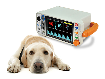 Pets Hospital 7 Inch Color LCD Screen Veterinary Vital Sign Monitor