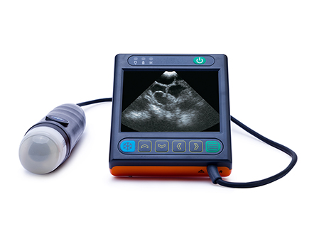 Veterinarian Portable Dog Pregnancy Ultrasound Machine