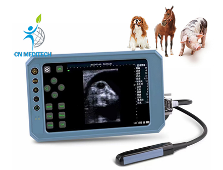 Vet Palm B Mode Veterinary Ultrasound Scanner
