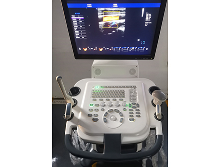 Medical Ultrasonography 4D Trolley Color Doppler Ultrasound Machine
