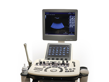 Elastography Trolley Color Doppler Ultrasound Imaging Scanner