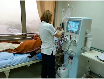 Hemodialysis Machine Double Pump Kidney Dialysis Treatment Machine