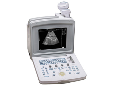 Portable full digital ultrasonic diagnostic system